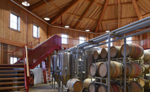 Angry Orchard Project