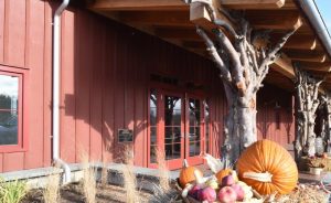 Angry Orchard Project