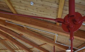 Free of Heart Douglas Fir Timber