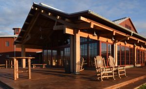 Angry Orchard Project