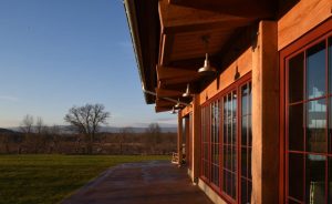 Angry Orchard Project