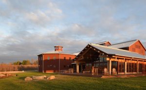 Angry Orchard Project