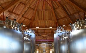 Angry Orchard Project